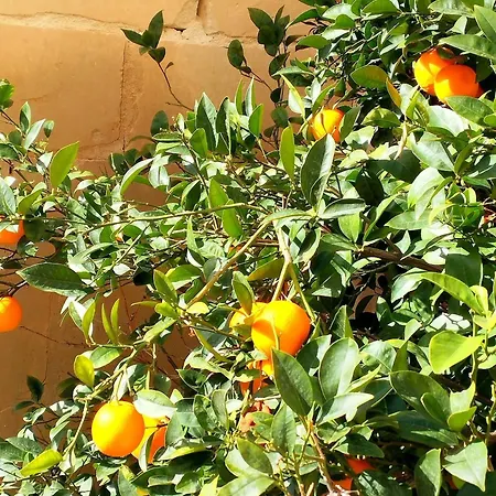 Nyaraló Spirit Of Malta Townhouse With Late Checkout